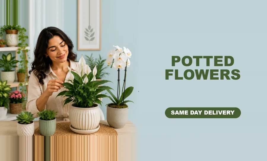 Flower Bouquet