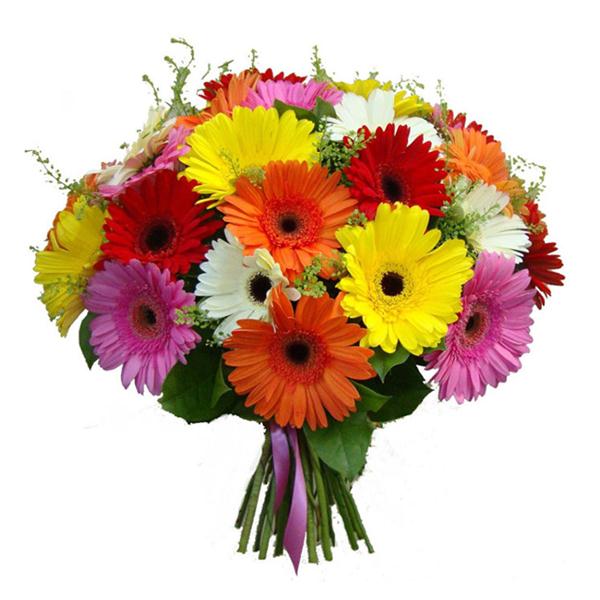 25 Mixed Color Gerbera Bouquet